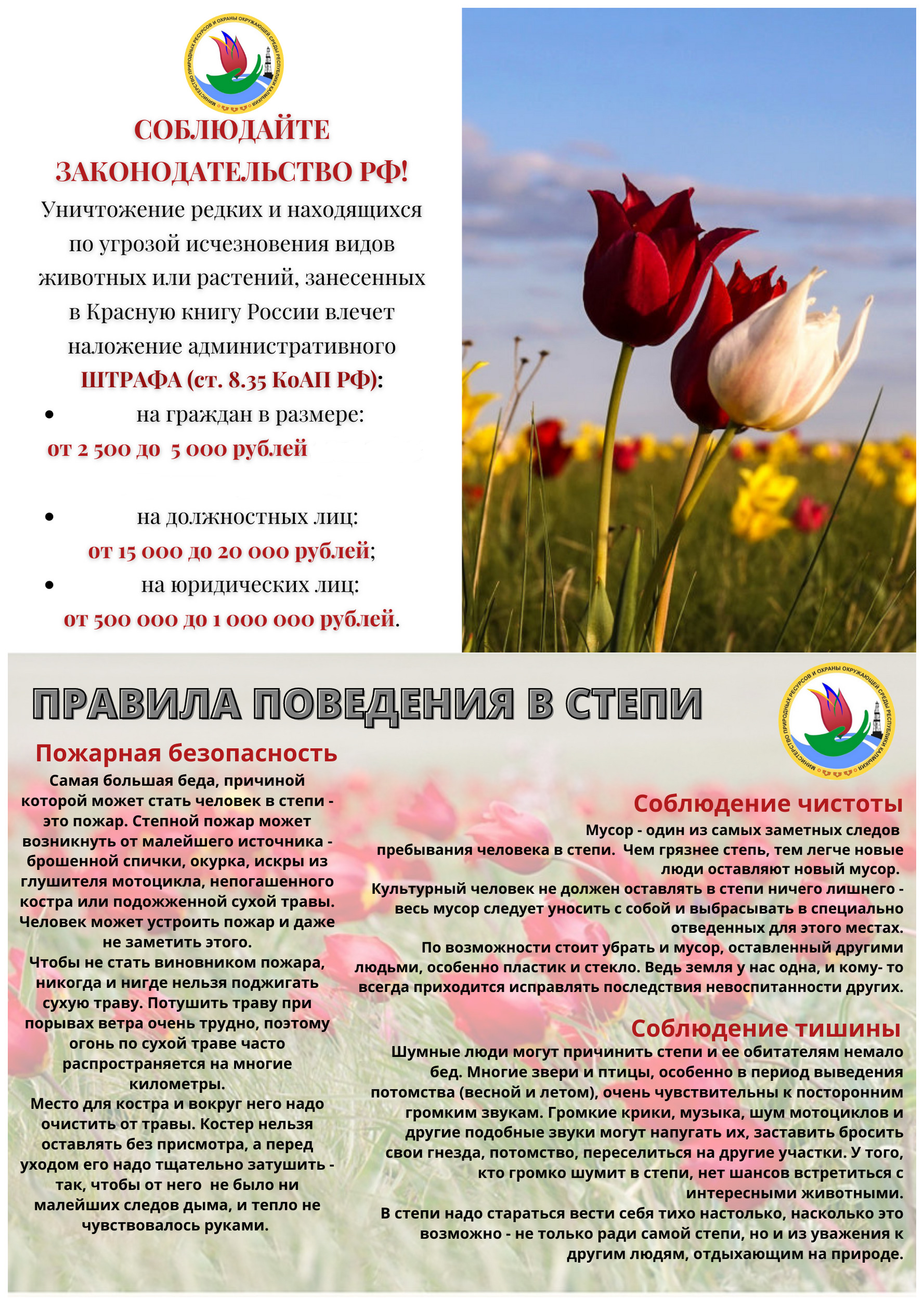 Администрация провела акцию в защиту диких тюльпанов Шренка 🌱🌷.