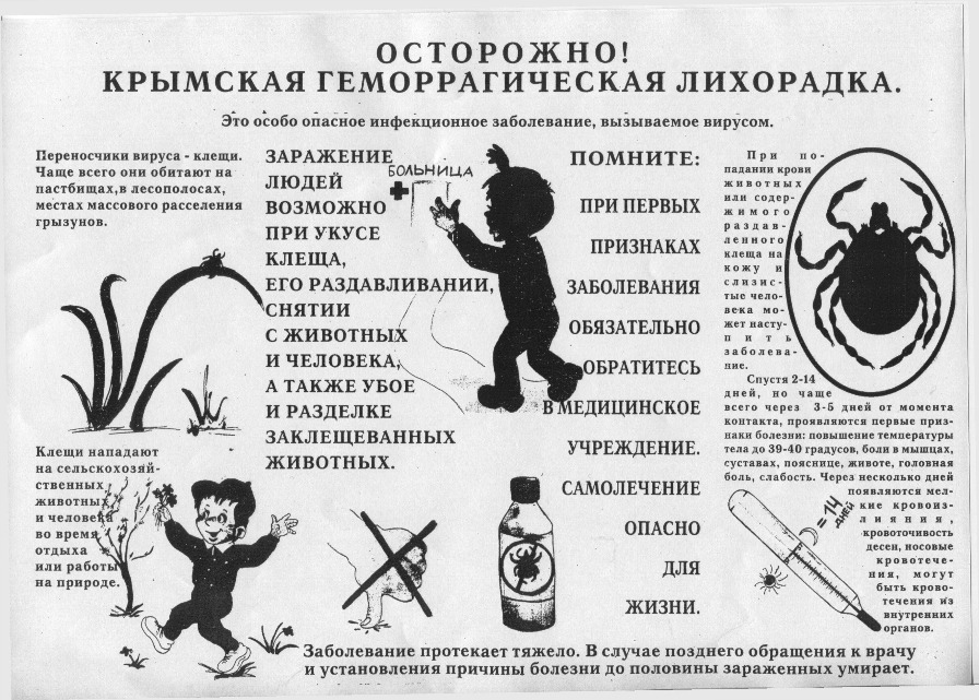 Крымская геморрагическая лихорадка (КГЛ).